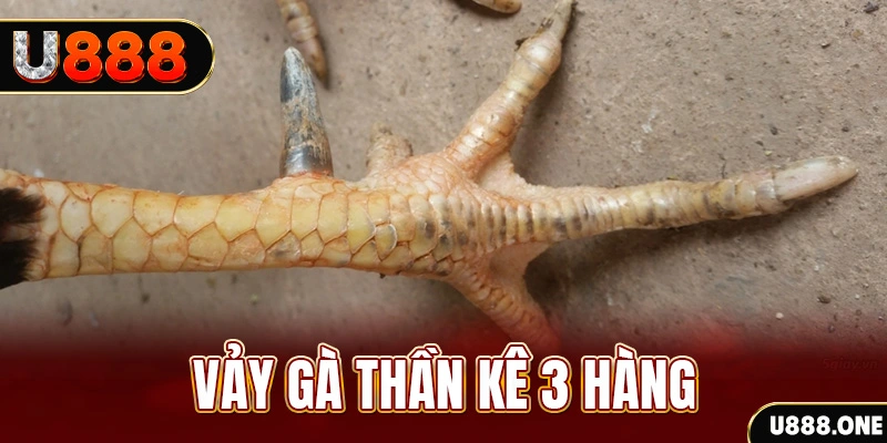 789clup nổ hũ đổi thưởng . ai