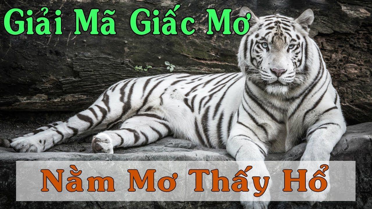 789clup xổ số miền trung