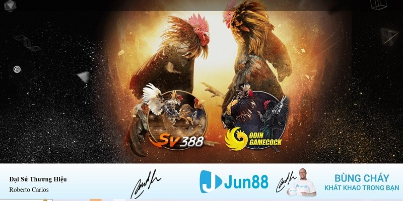 789clup xổ số miền nam hàng tuần