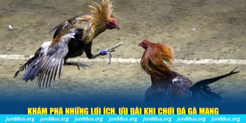 789clup Tài Xỉu 2