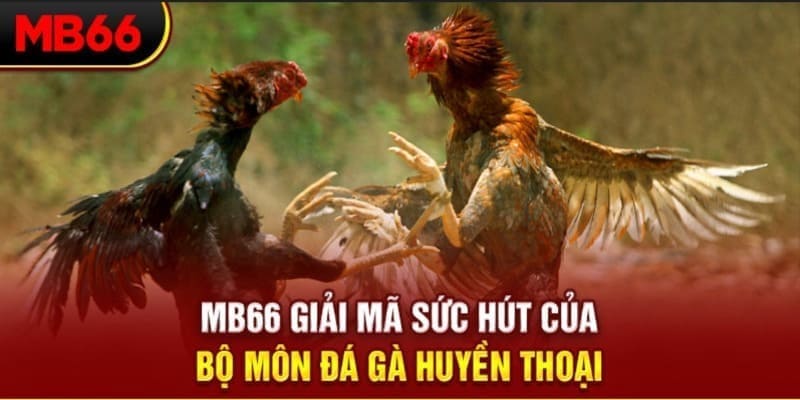 789clup long bảo trong baccarat là gì
