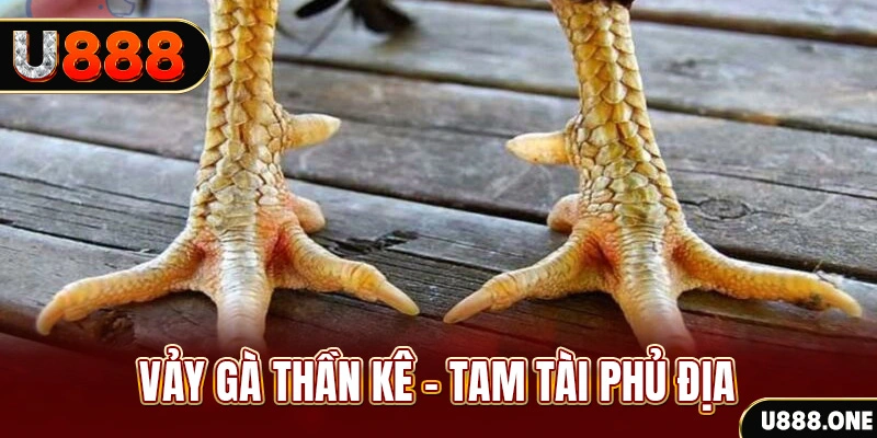 789clup xổ số 30 ngày