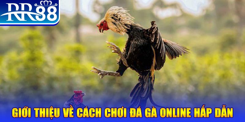 789clup nổ hũ 2 mặt là gì