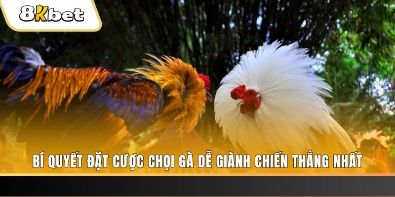 789clup may club nổ hũ