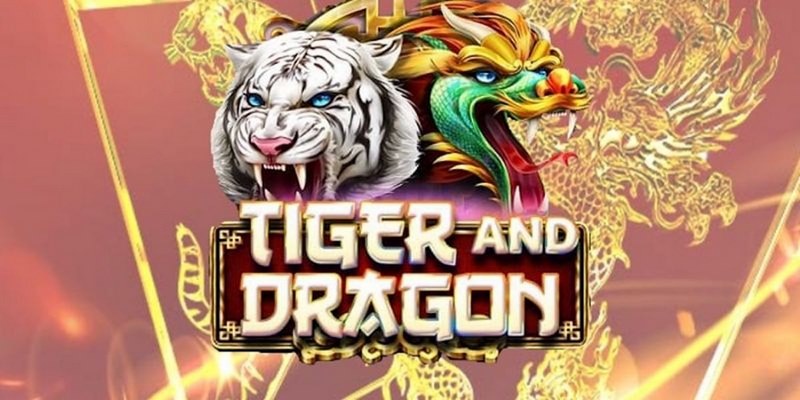 789clup cá cược tiếng anh là gì